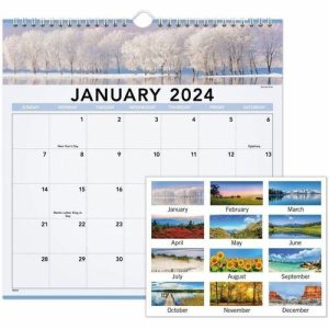 AT-A-GLANCE  Landsc Wall Calendar, 12Mths Jan-Dec, 9-1/2"x1", Multi