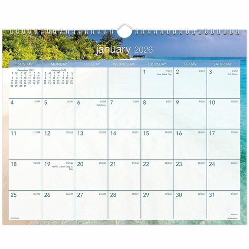 AT-A-GLANCE Wall Calendar, 12 Months, 15"x12", Tropical Escape/Blue