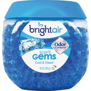 Bright Air  Gel Odor Eliminator, Cool & Clean Scent, 10oz, BE