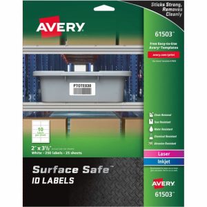 Avery  Labels, Removable, Surface Safe, 2"x3-1/2", 250/PK, WE
