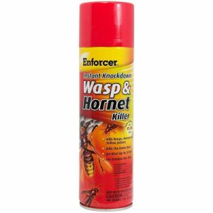 Amrep,Inc.  Insecticide, f/Wasp/Hornets, 16oz, 12/CT, Clear