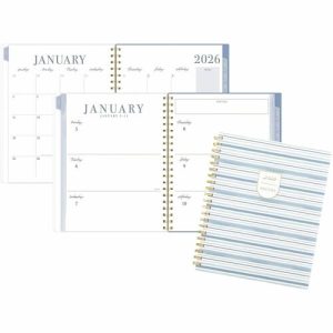 AT-A-GLANCE Planner,Ciara Stripe,Wkly/Mthly,12Mth,Jan-Dec,8-1/2"x11"