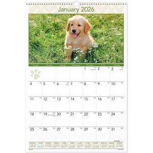 AT-A-GLANCE Monthly Wall Calendar,12Mth Jan-Dec,15-1/2"x22-3/4",Puppies