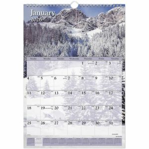 AT-A-GLANCE Monthly Wall Calendar,Jan-Dec,Scenic Photos,12"x17"