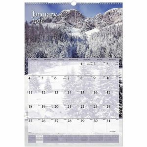 AT-A-GLANCE Monthly Wall Calendar,Jan-Dec,Scenic Photos,15-1/2"x22-3/4"