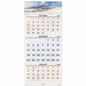 AT-A-GLANCE 3-Month Wall Calendar,14 Mth Dec-Jan,12-1/4"x27",Scenic