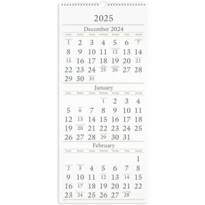 AT-A-GLANCE  Wall Calendar, 14 Mths Dec-Jan,3MPP,12-1/4"x27",Buff Paper